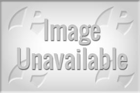 Command W7X Black Hybrids